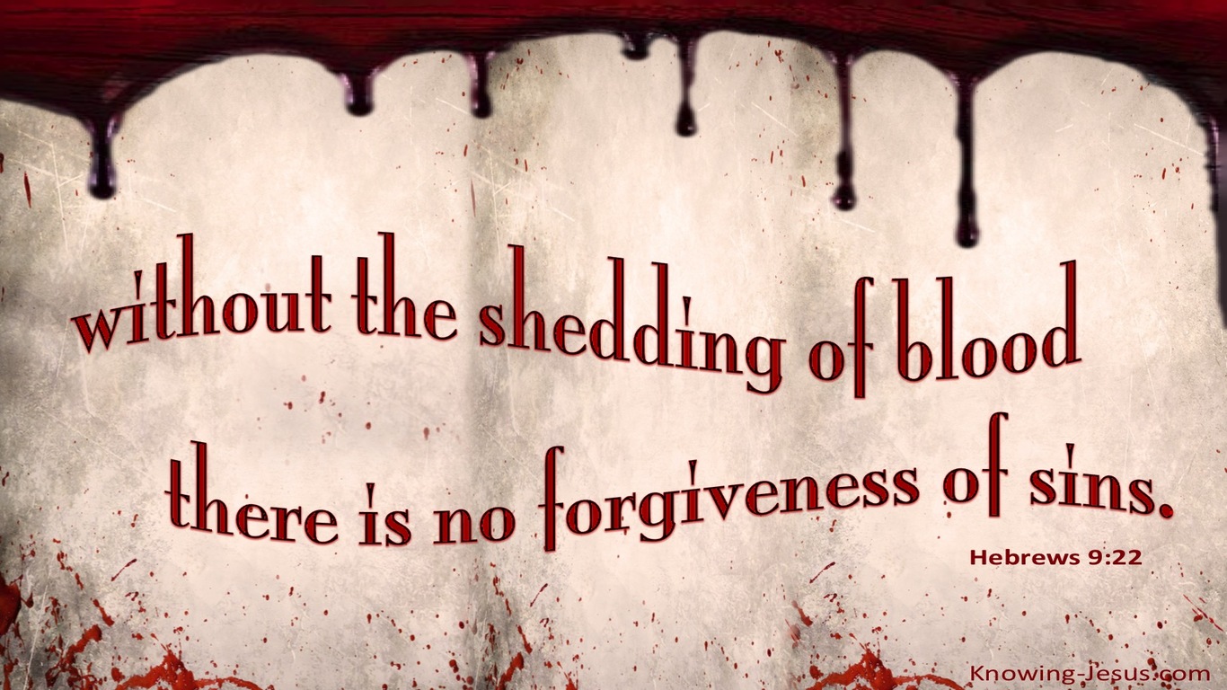 Hebrews 9:22 No Forgiveness Without The Shedding of Blood (beige)